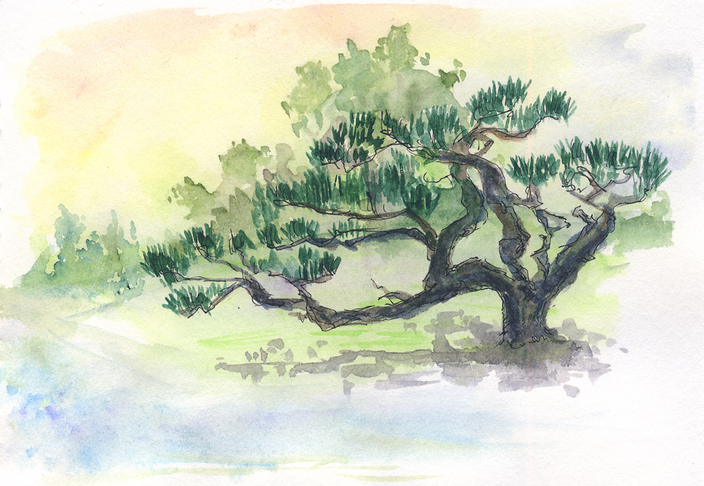 watercolor