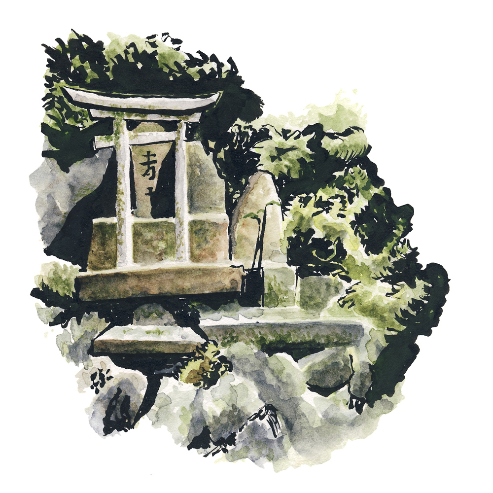 watercolor