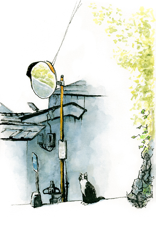 watercolor