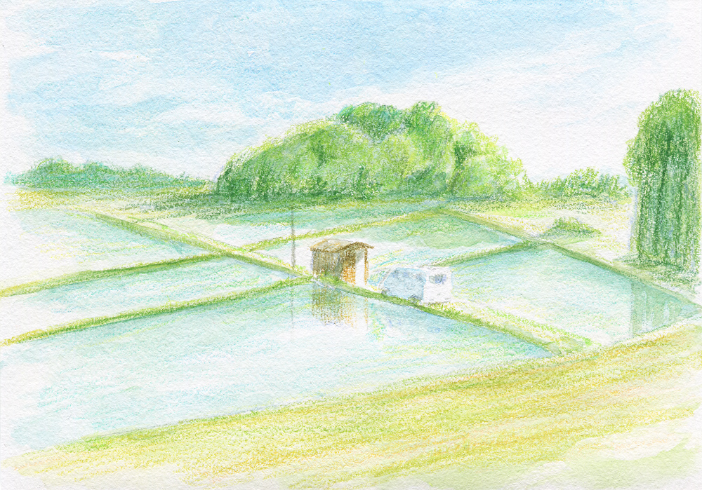 watercolor